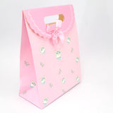 Small closing gift bag - 210 x 165 x 80mm  - 1